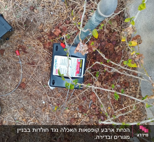 קופסת הדברה שחורה על הקרקע ליד צינור